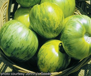 Basket full of Green Zebras.