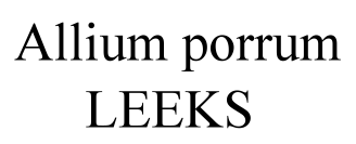 Allium porrum Leeks