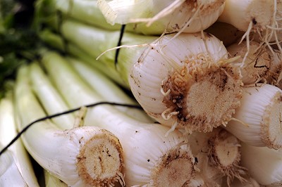 Leek plants harvested and ready to cook.