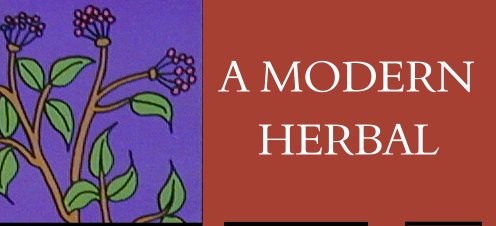 A Modern Herbal 