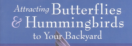 Attracting Butterflies and Hummingbirds to Your Backyard