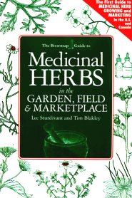 Medicinal Herbs
