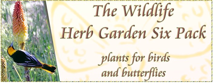 THE WILDLIFE HERB GARDEN PLANTS FOR BIRDS AND BUTTERFLIES