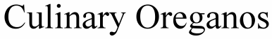Culinary Oreganos