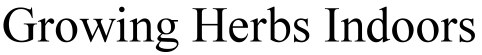 Growing Herbs Indoors