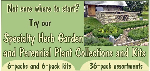 Specialty Herb Garden Six Packs, Herb Garden Kits and 36 Pack Herb Garden and Perennial Assortments make it easier to plant the garden of your dreams.