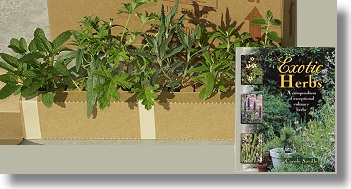 Herb Garden Six Packs with Specialty Books make a great gift!