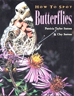 How to Spot Butterfllies