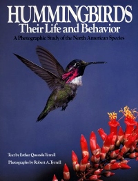 Hummingbirds: Their Life and Behavior