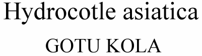 Hydrocotle asiatica Gotu Kola