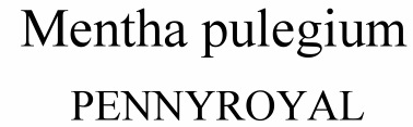 Mentha pulegium Pennyroyal