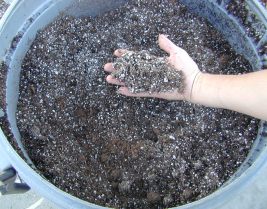 The Perfect Potting Mix