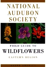National Audubon Sociey Field Guide to Wildflowers Eastern Edition