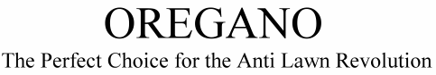 Oregano The Perfect Choice for the Anti Lawn Revolution