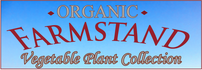 Organic Farmstand Organic Vegetable Plant Collection