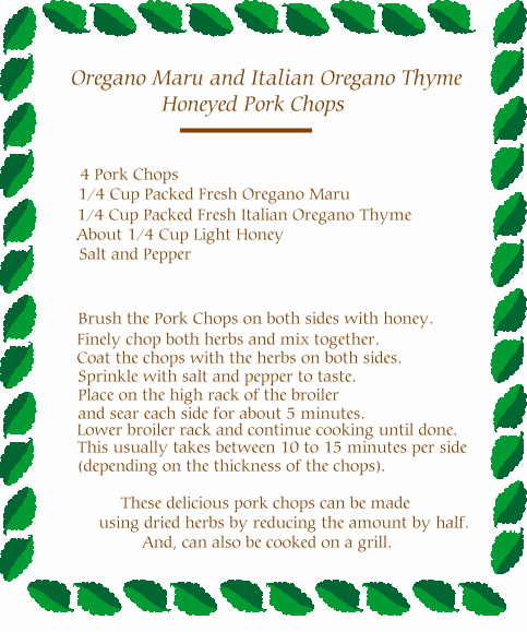 Oregano Maru and Italian Oregano Honeyed Pork Chops