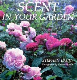 Scent in Your Garden