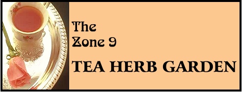 THE ZONE 9 TEA HERB GARDEN