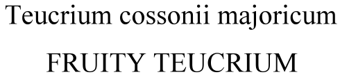 Teucrium cossonii majoricum Fruity Teucrium