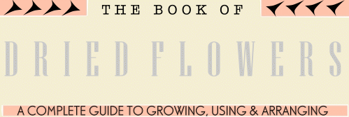The Book of Dried Flowers