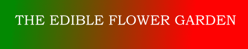The Edible Flower Garden