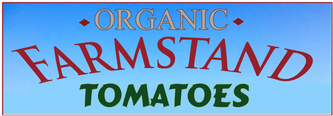 Organic Tomato Plants Organic Tomato Seedlings