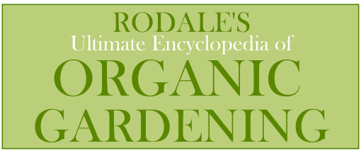 Rodale's Ultimate Encylopedia of Organic Gardening