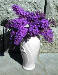 Twiglight Flowers in Vase