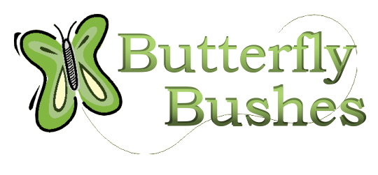Butterfly Bushes: Types, Care, and Pruning
