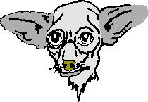 Sad Daschshund