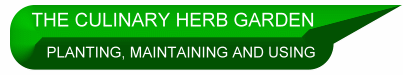 Choosing, Planting , Growing and Harvesting Culinary Herb Plants